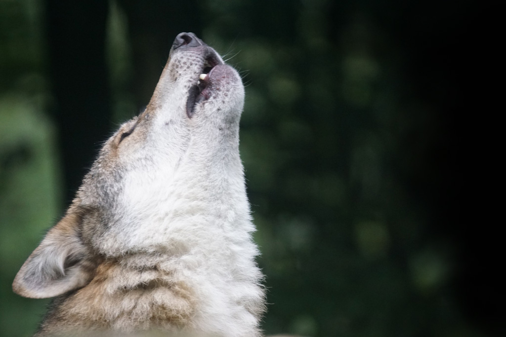 Mehr Kontakte über die Website